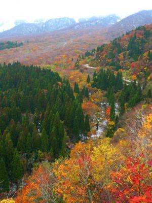 紅葉の鍵掛峠