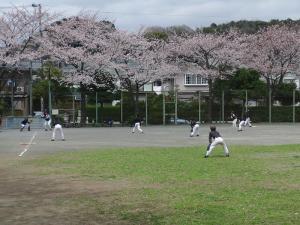 2010/04/03撮影・ほぼ満開