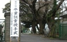 画像の説明