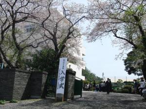 桜咲く懐かしの正門