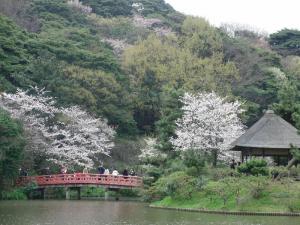 時を惜しみながら花を愛で